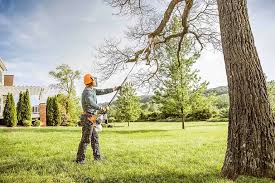 How Our Tree Care Process Works  in Brookside, AL